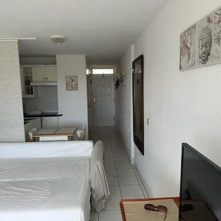 Appartement Borinquen Mit Pool Und Meerblick By Interhome Costa Adeje (Tenerife)